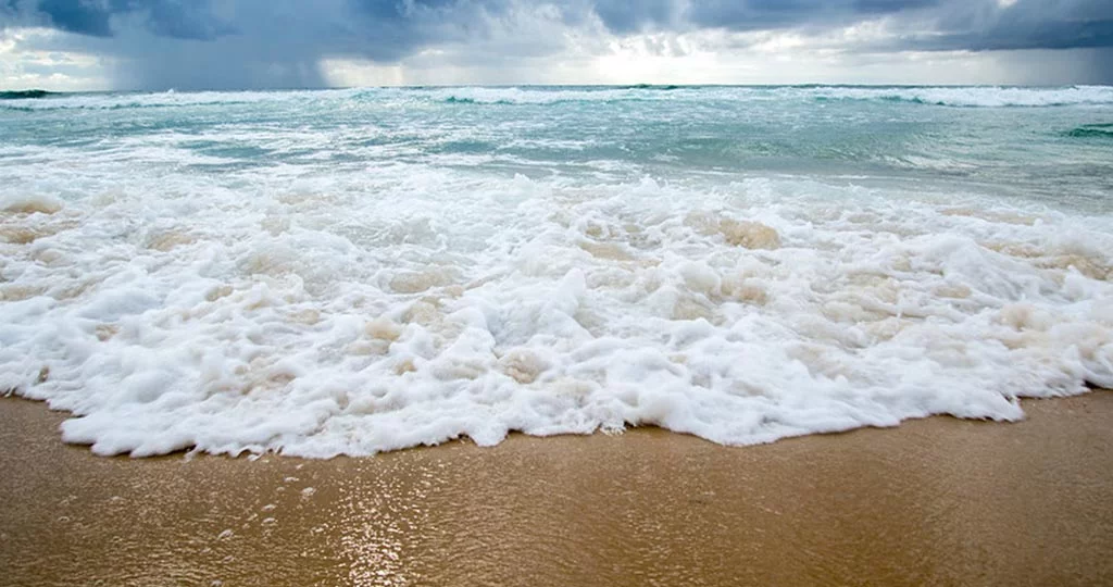 Plage océane à Biscarrosse 
