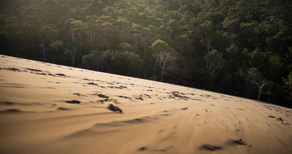 La dune du Pilat