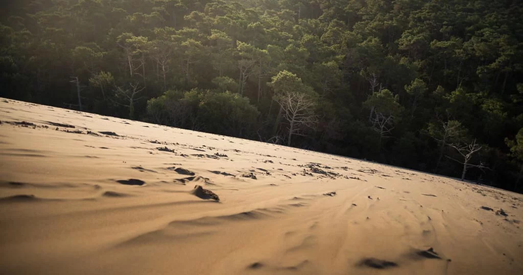 La dune du Pilat